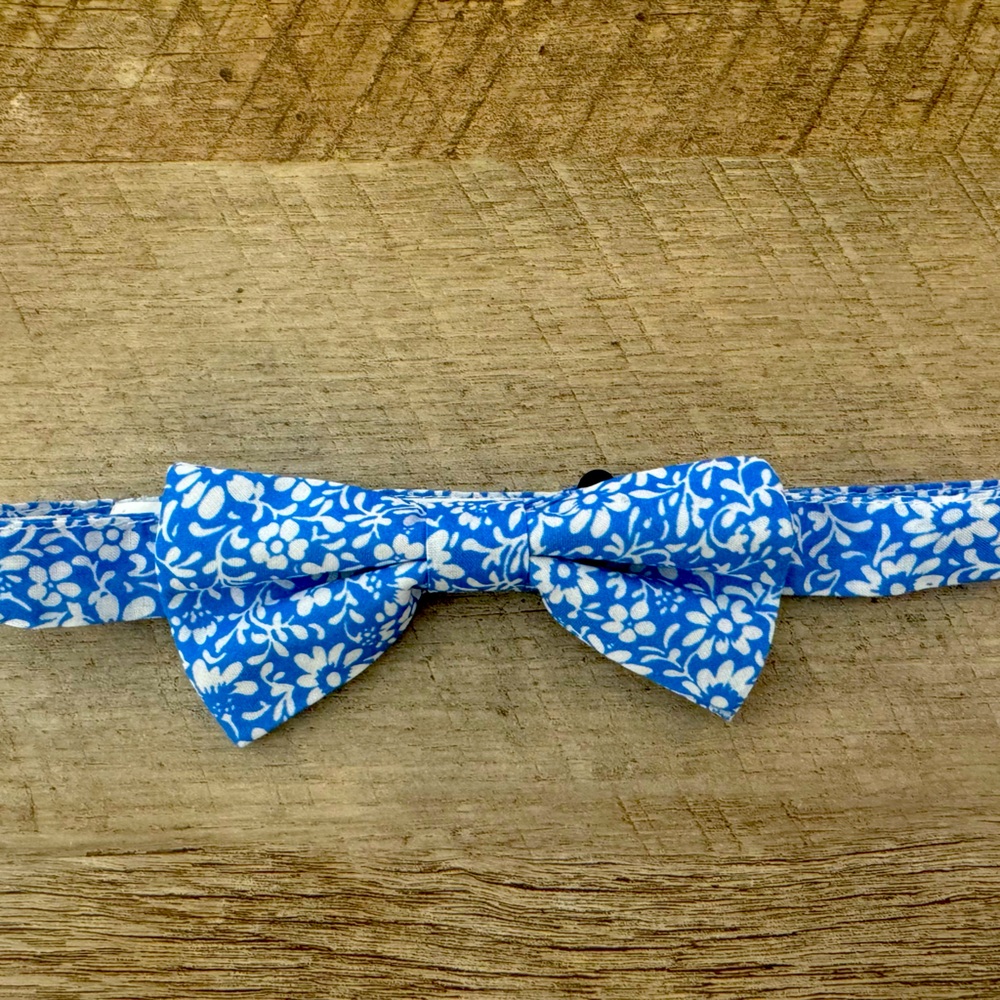 J Crew Kids Bow tie